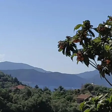 דירה Agatha's House