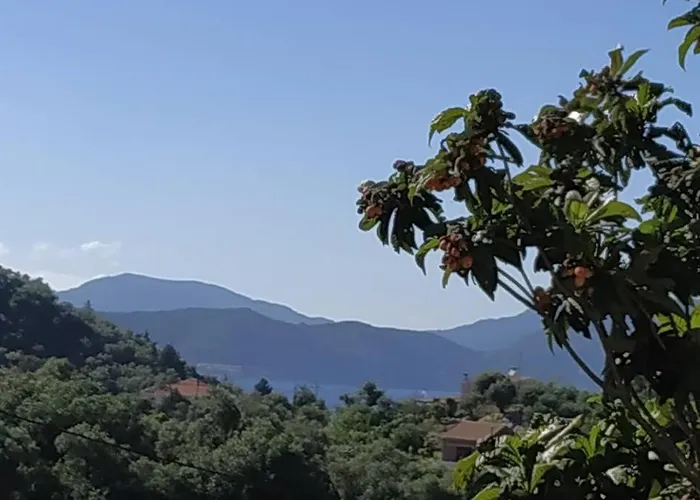 Apartamento Agatha's House